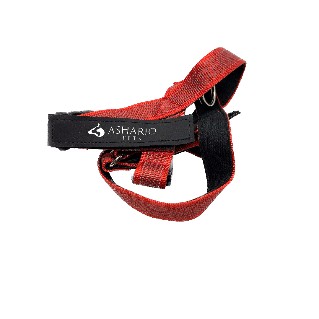 Ashario Pets "BreezyVest" Summer Lightweight Collar with Reflective Velcro Leash Chest Back Strap - L