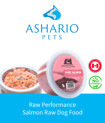 Unveil the nutritional benefits of Raw Performance Salmon Raw Dog Food at Ashario Pets. Sourced from premium ingredients, this blend provides essential nutrients for your dog&#39;s overall health. Visit our North York store or order online for superior pet nutrition.