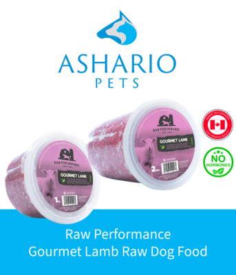Experience the deliciousness of Raw Performance Gourmet Lamb Raw Dog Food, offering optimal nutrition for your furry friend&#39;s health and vitality.