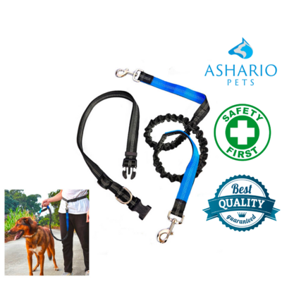Ashario Pets "FlexiRun" Reflective Elastic Multifunctional Pet Running Leash - 25mm