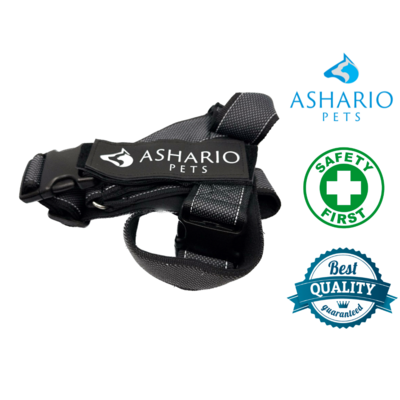 Ashario Pets "BreezyVest" Summer Lightweight Collar with Reflective Velcro Leash Chest Back Strap - L