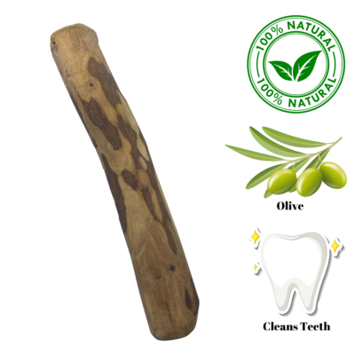 Zaytoon X-Large Olive Wood Dog Chew