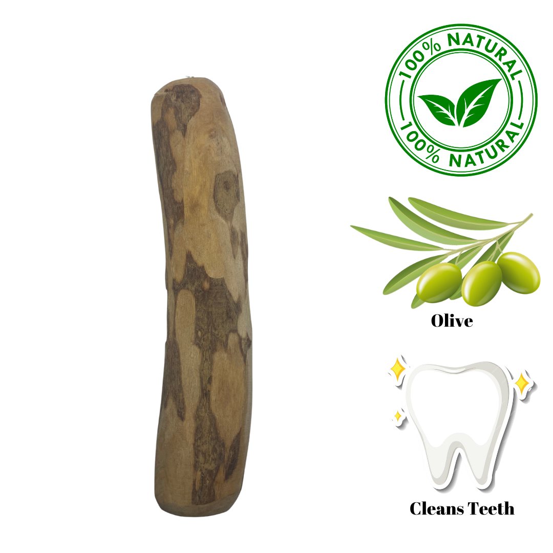 Zaytoon Large Olive Wood Dog Chew