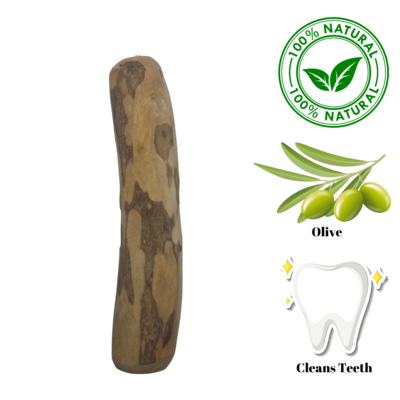 Zaytoon Large Olive Wood Dog Chew