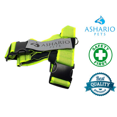 Ashario Pets "BreezyVest" Summer Lightweight Collar with Reflective Velcro Leash Chest Back Strap - XL
