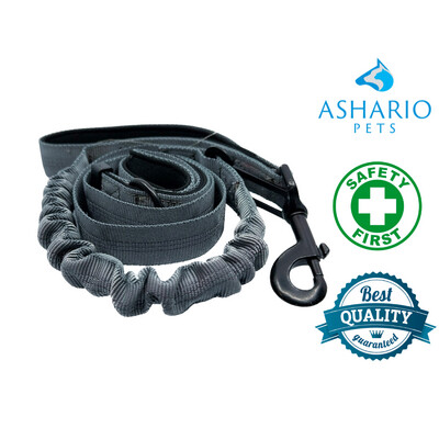 Ashario Pets "SafeRide Pro" Pet Car Dog Safety Rope with Retractable Car Traction Belt - Gray