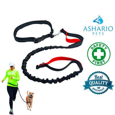 Ashario Pets "FlexiRun" Reflective Elastic Multifunctional Pet Running Leash