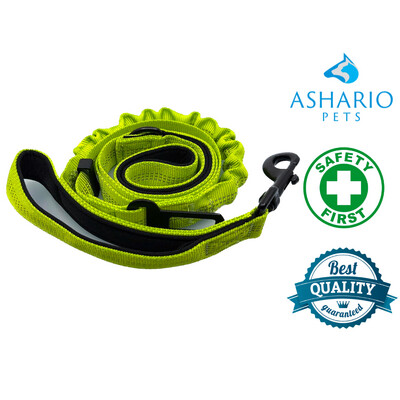 Ashario Pets "SafeRide Pro" Pet Car Dog Safety Rope with Retractable Car Traction Belt - Green