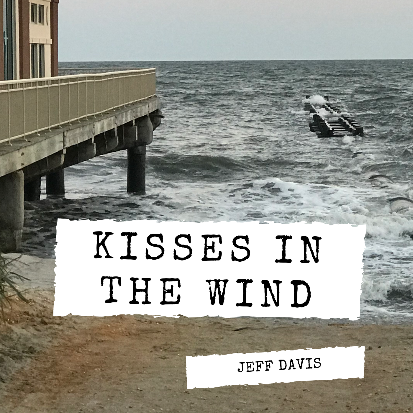 Kisses In the Wind CD