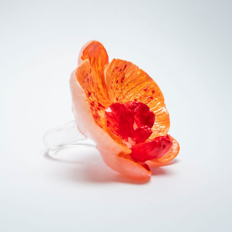 anillo Phalaenopsis Carota