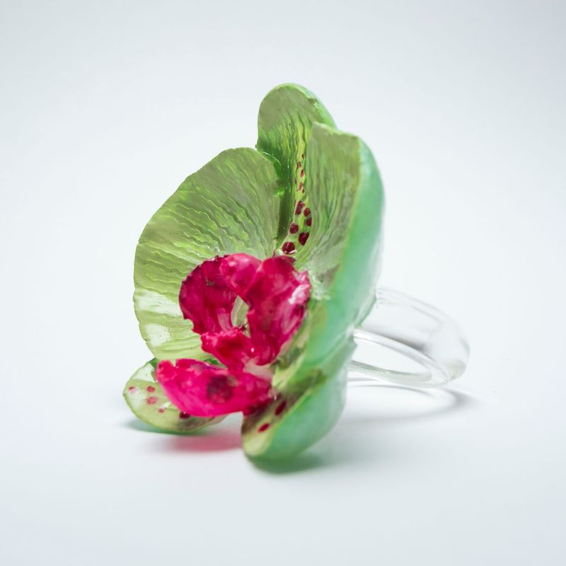 anillo Phalaenopsis Cucumis