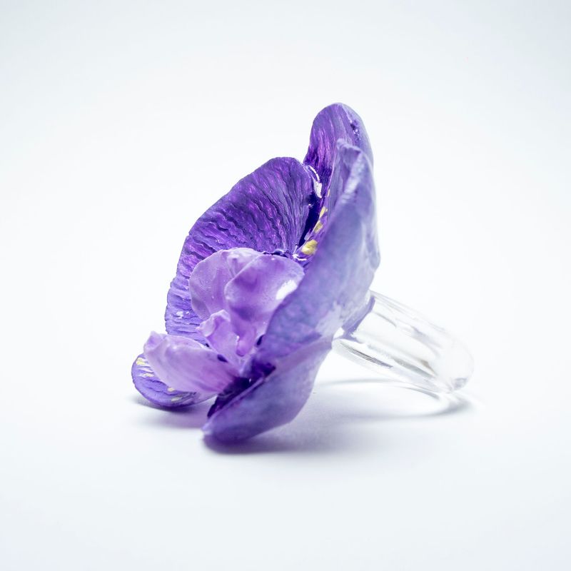 anillo Phalaenopsis Vinum