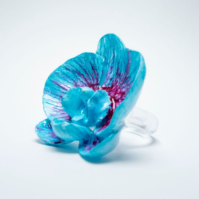 anillo Phalaenopsis Caeruleus