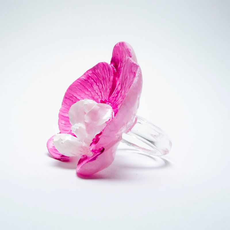 anillo Phalaenopsis Roseus