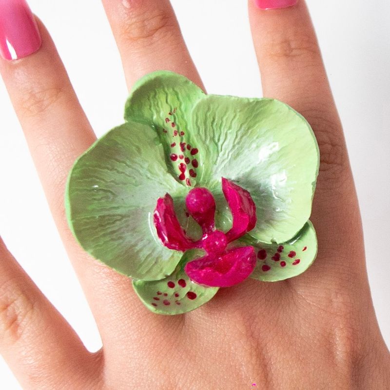 anillo Phalaenopsis Cucumis