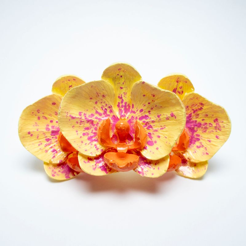 anillo Phalaenopsis Flavus Magnum