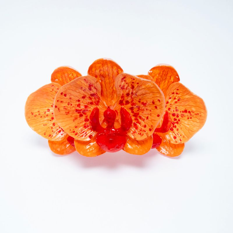 anillo Phalaenopsis Carota Magnum
