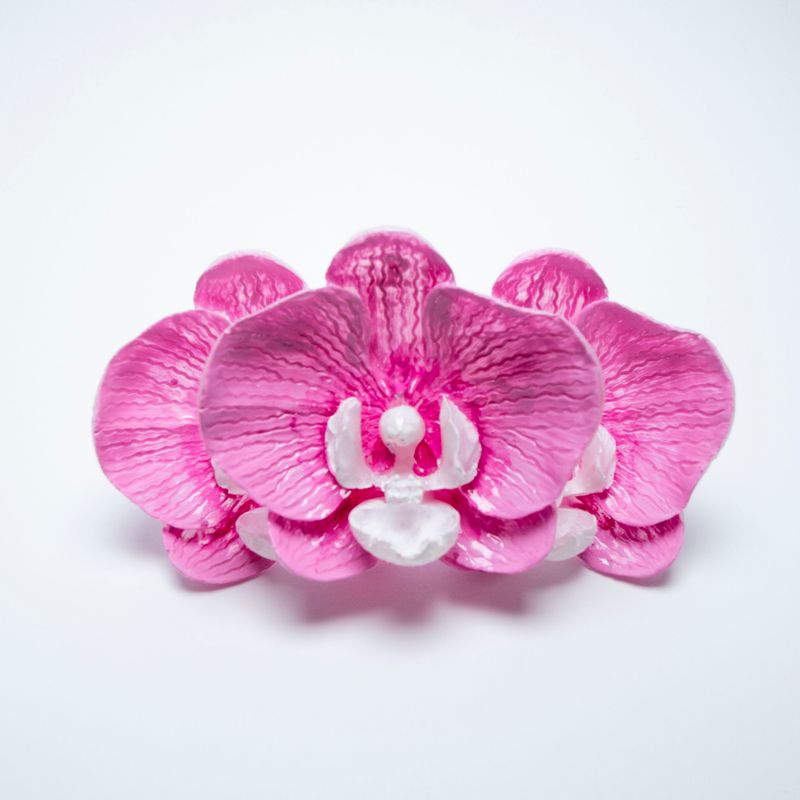 anillo Phalaenopsis Roseus Magnum