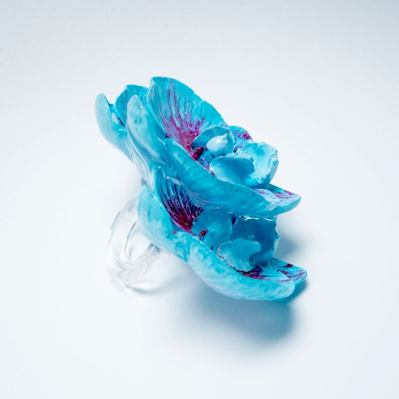 anillo Phalaenopsis Caeruleus Magnum