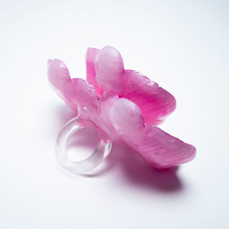 anillo Phalaenopsis Roseus Magnum
