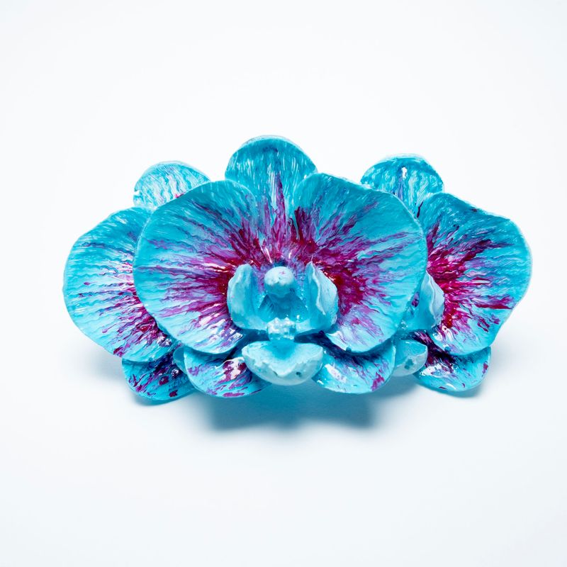 anillo Phalaenopsis Caeruleus Magnum