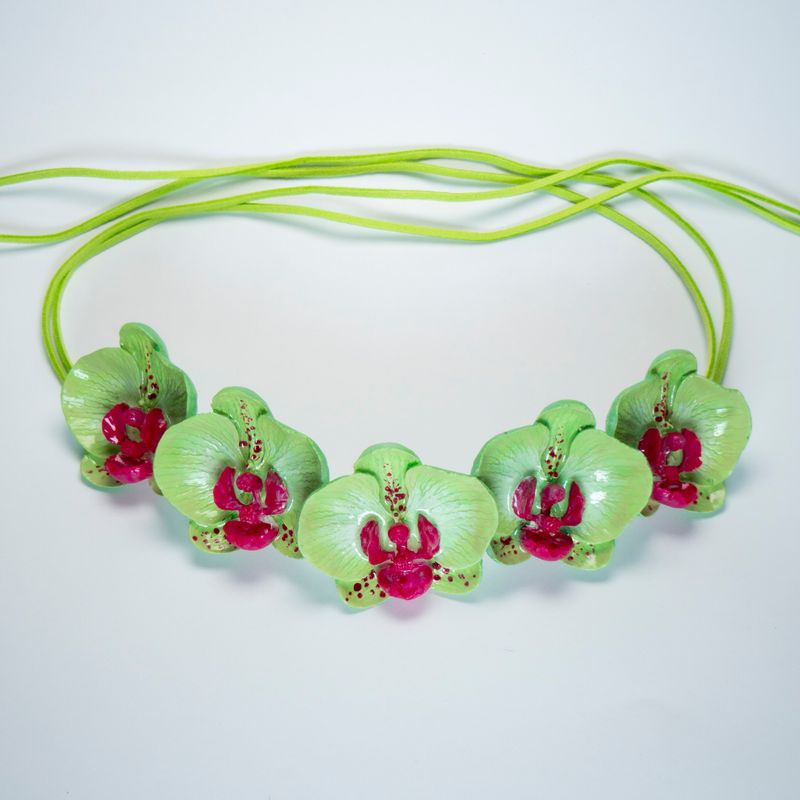 collar Phalaenopsis Cucumis Magnum