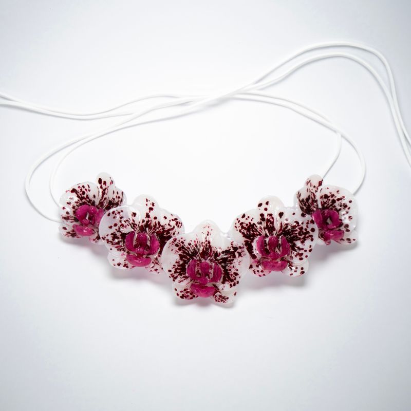 collar Phalaenopsis Albus Magnum