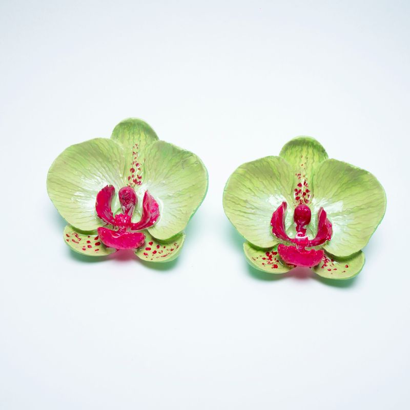 pendientes Phalaenopsis Cucumis