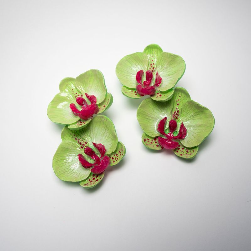 pendientes Phalaenopsis Cucumis Magnum