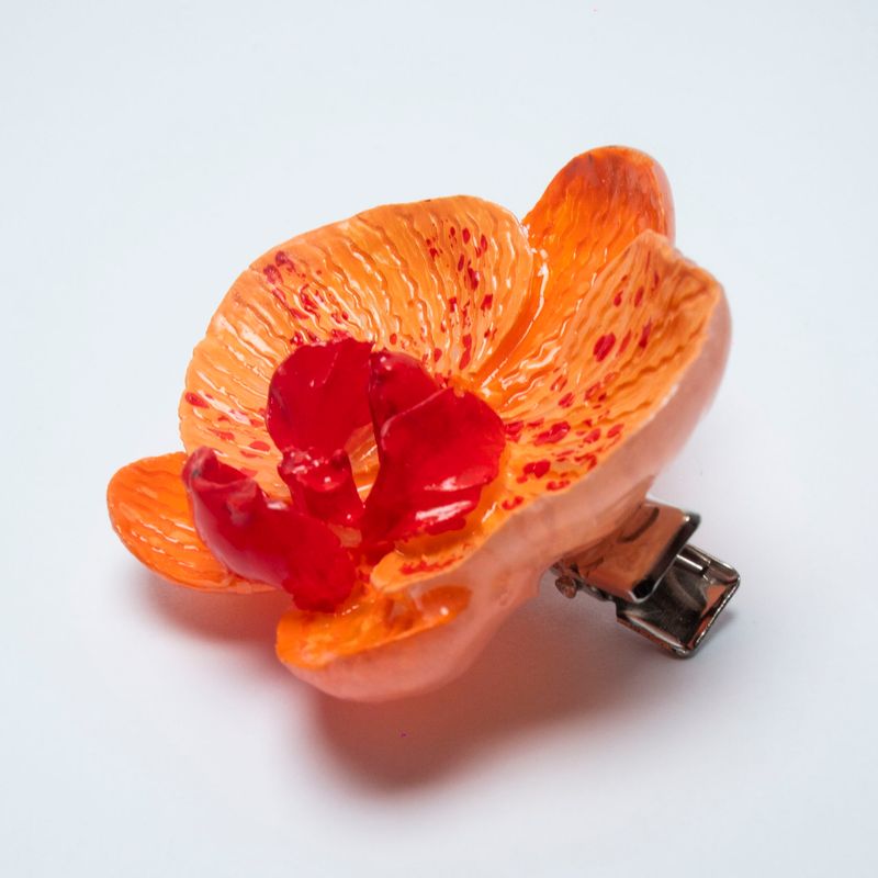 pinza Phalaenopsis Carota