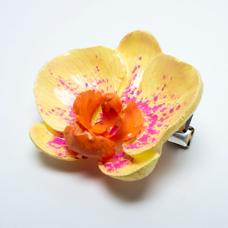 pinza Phalaenopsis Flavus