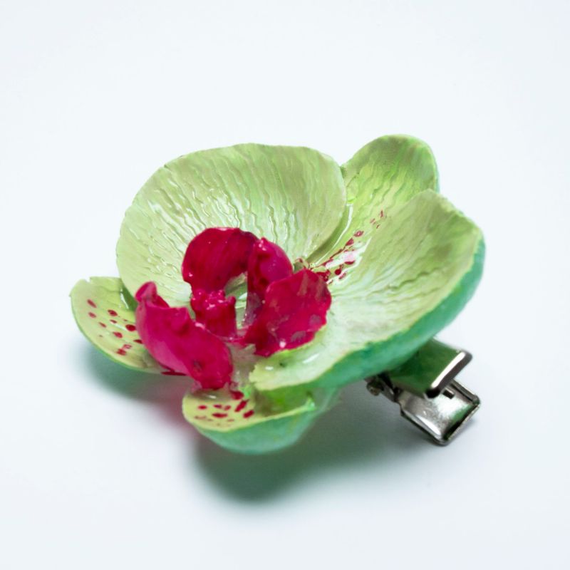 pinza Phalaenopsis Cucumis