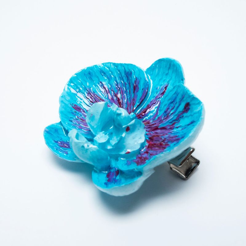 pinza Phalaenopsis Caeruleus