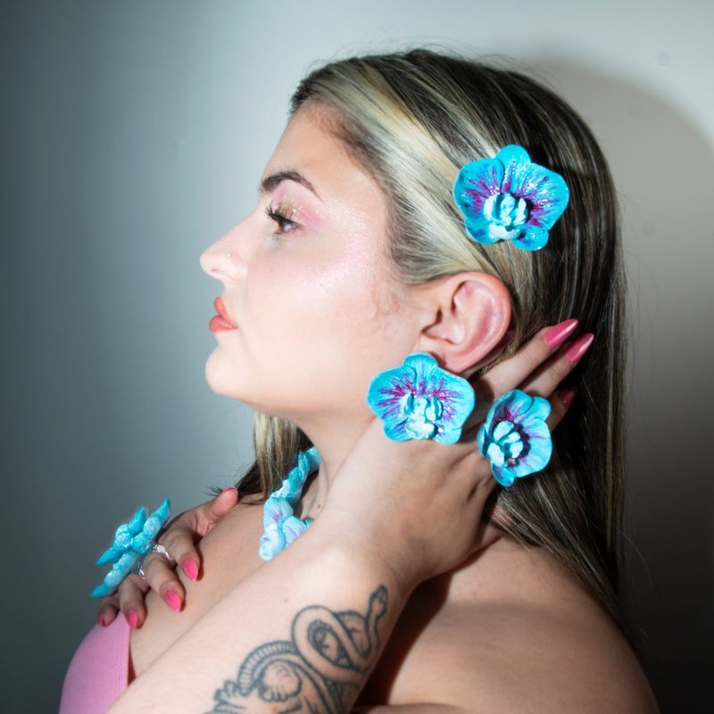 pinza Phalaenopsis Caeruleus