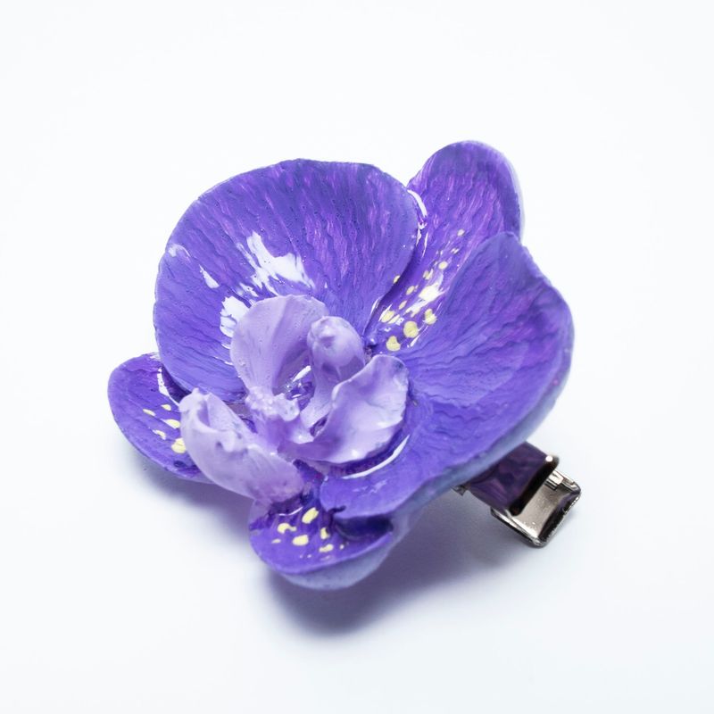 pinza Phalaenopsis Vinum