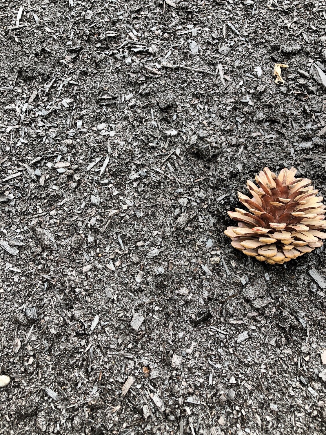 Compost 1/2m3 ONLINE SHOP The Landscape Supply Yard