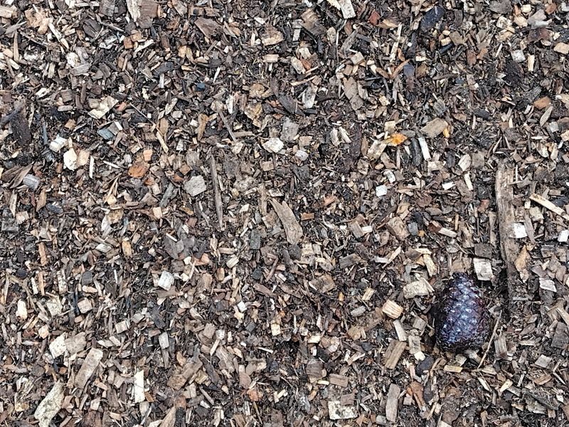 Arborist Mulch 1/2 m³