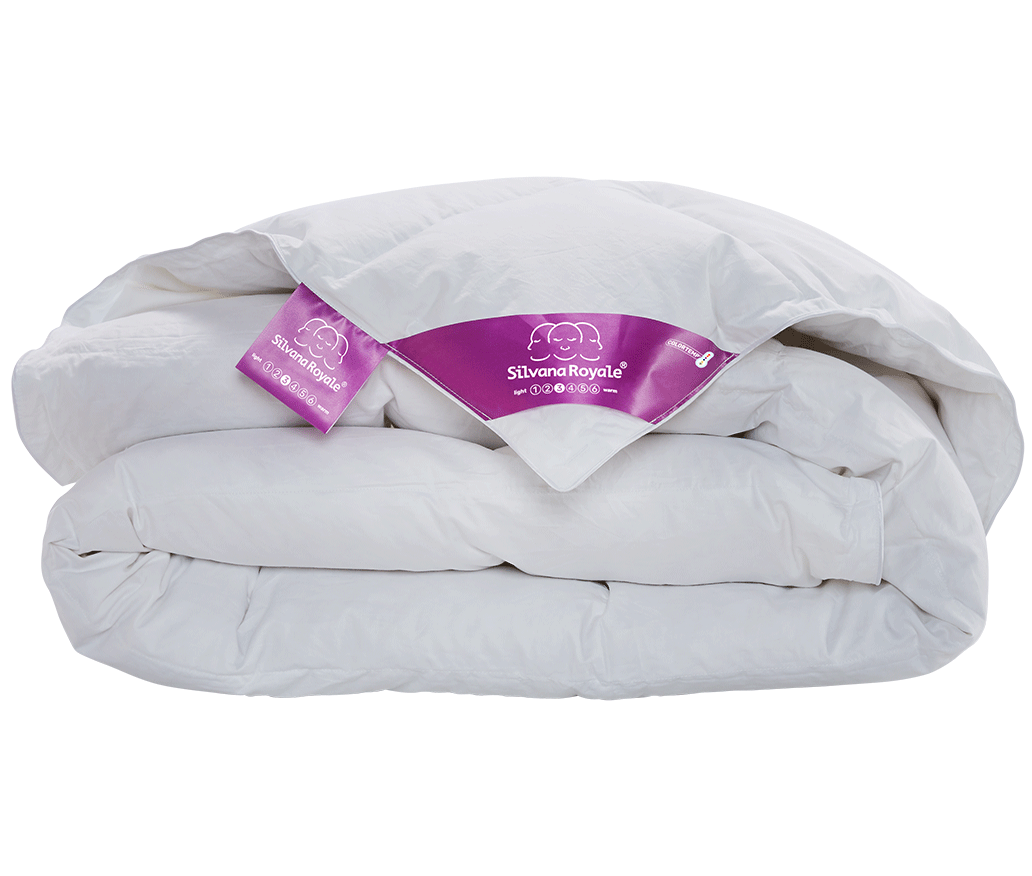 Silvana Royale Paars