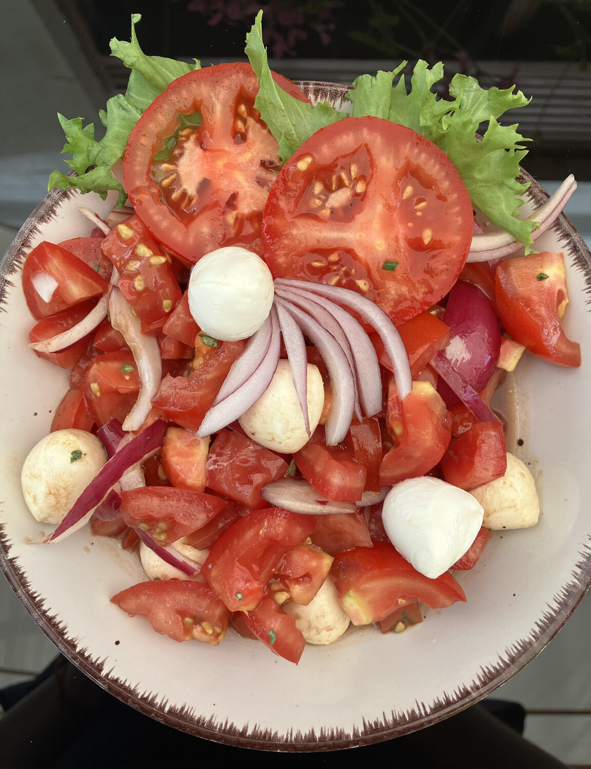 Italienischer Tomaten Mozzarella Salat-vegetarisch