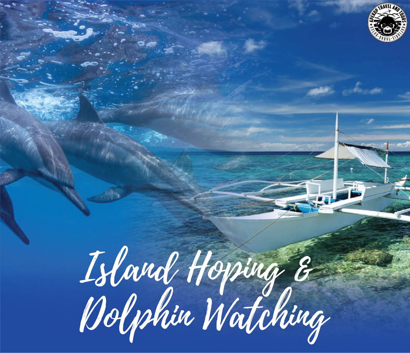 ISLAND HOPPING AND DOLPHIN WATCHING