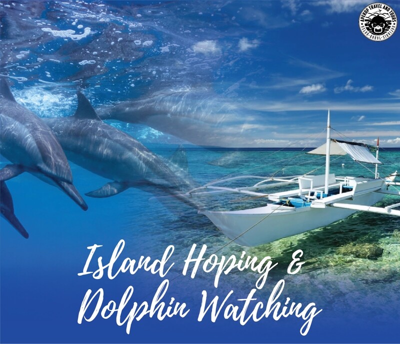 ISLAND HOPPING AND DOLPHIN WATCHING
