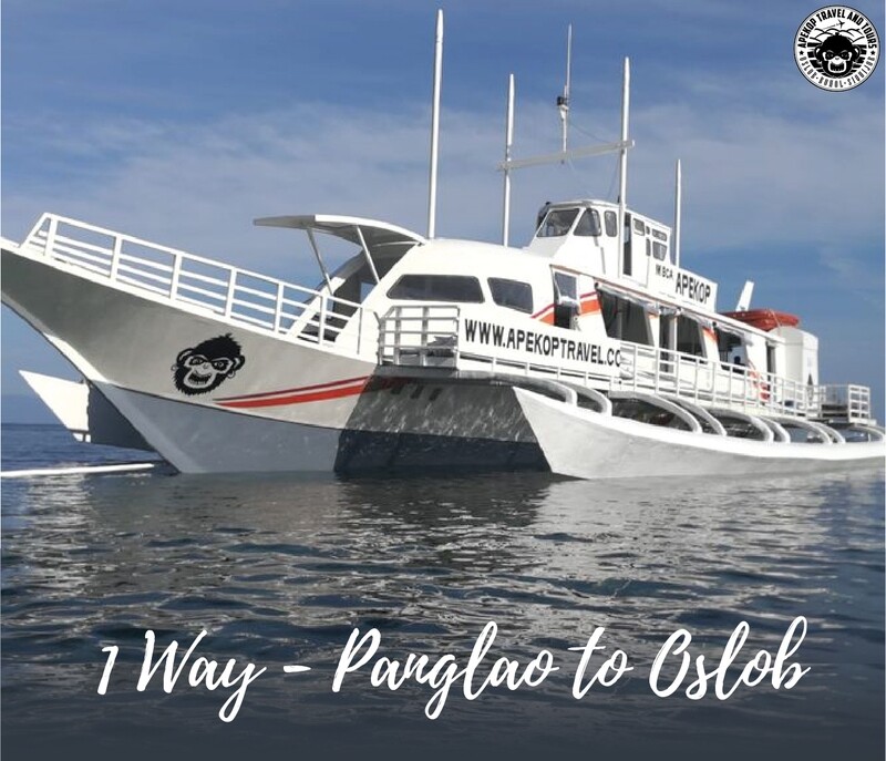 Panglao to Oslob