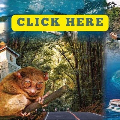 TRAVEL AND TOURS