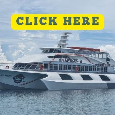 TAGBILARAN - SIQUIJOR VICE VERSA TRIPS