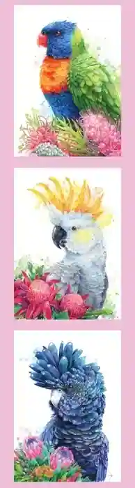 Carlie Edwards Australian Birds Tri Panel - Pink Border