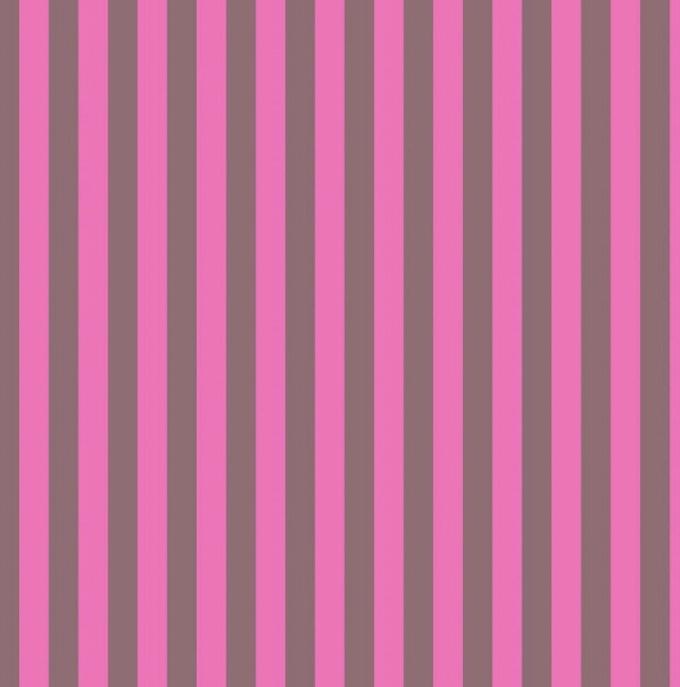Tula Pink Neon Tent Stripe Cosmic