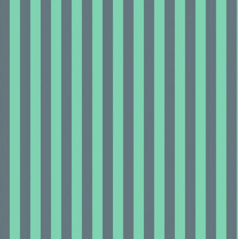 Tula Pink Neon Tent Stripe Spirit