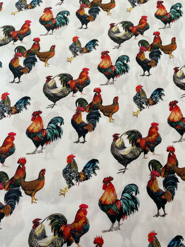 Chooks On White Background