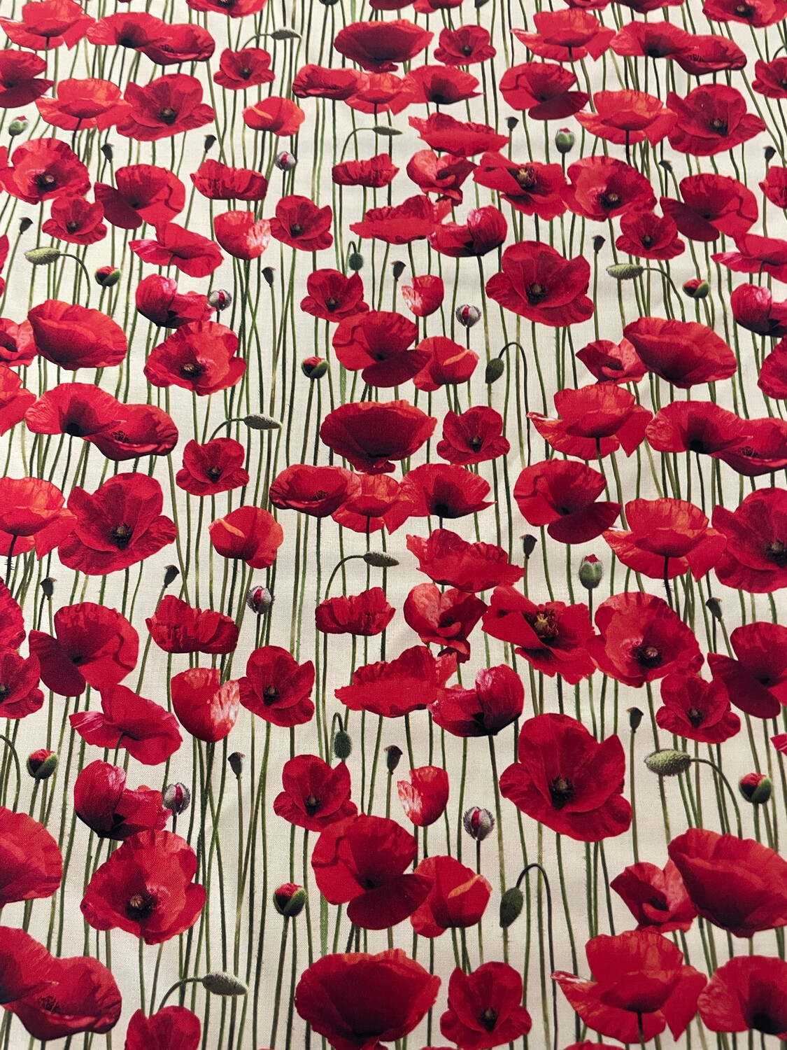 ANZAC Remembering - Poppies With Stems Cream