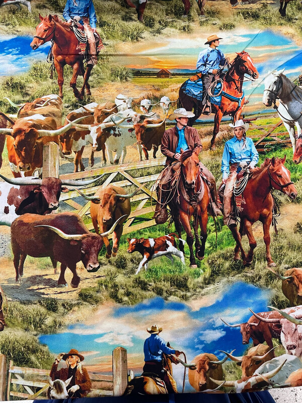 Big Sky Country - Paddock